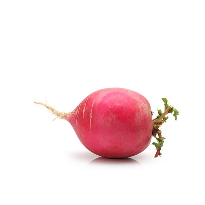 Radish 