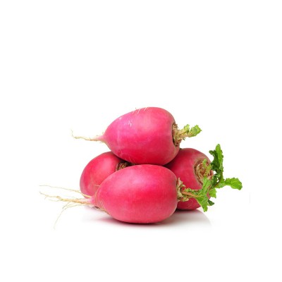 Radish 