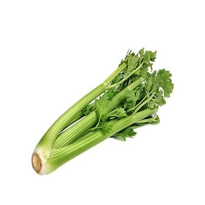 Celery